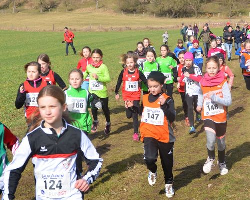 Kreis Meisterschaften im Crosslauf